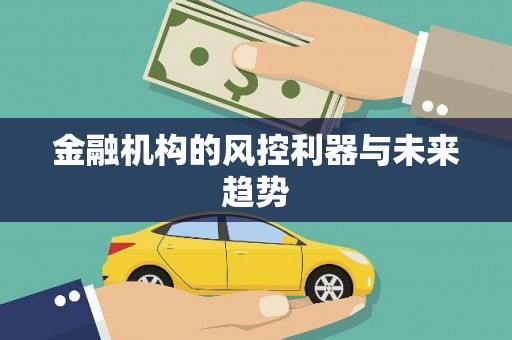 澄江金融机构的风控利器与未来趋势