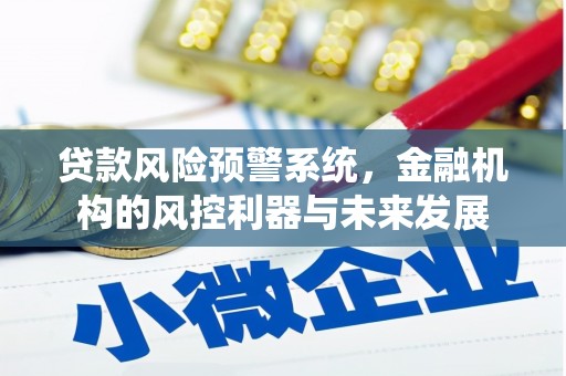 澄江贷款风险预警系统，金融机构的风控利器与未来发展