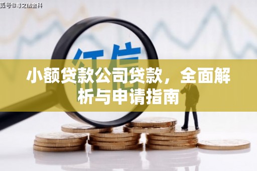 澄江小额贷款公司贷款，全面解析与申请指南