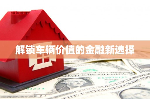 澄江解锁车辆价值的金融新选择