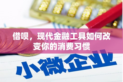澄江借呗，现代金融工具如何改变你的消费习惯
