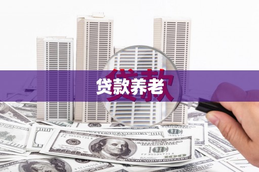 澄江贷款养老