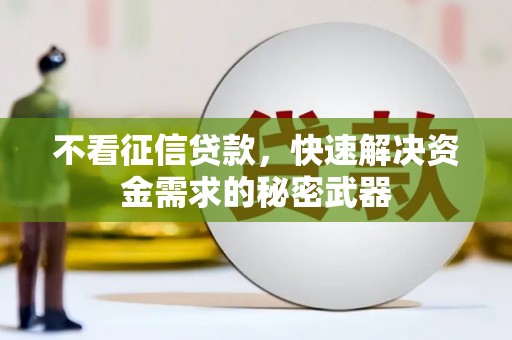 澄江不看征信贷款，快速解决资金需求的秘密武器