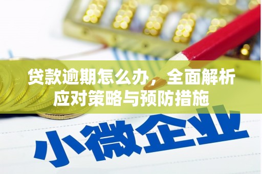 澄江贷款逾期怎么办，全面解析应对策略与预防措施