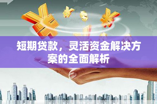 澄江短期贷款，灵活资金解决方案的全面解析