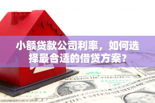 澄江小额贷款公司利率，如何选择最合适的借贷方案？