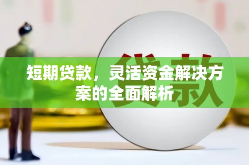 澄江短期贷款，灵活资金解决方案的全面解析