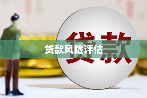 澄江贷款风险评估