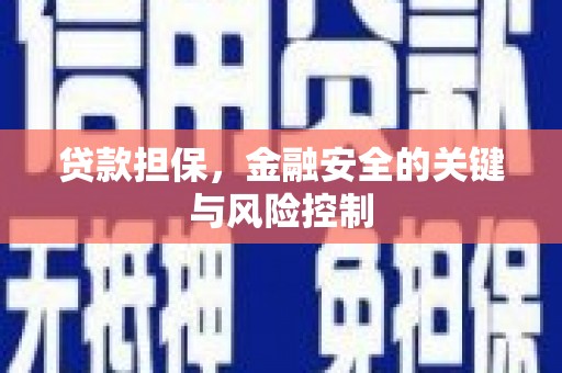 澄江贷款担保，金融安全的关键与风险控制