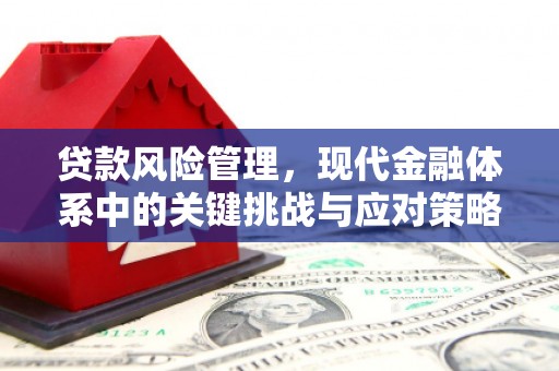 澄江贷款风险管理，现代金融体系中的关键挑战与应对策略